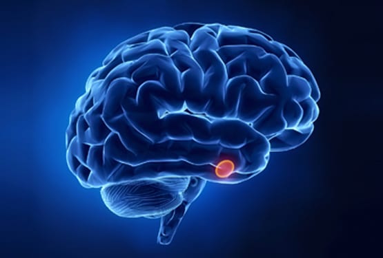 Endoscopic-Pituitary-Surgery
