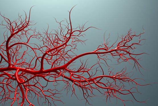 Microvascular-Surgery